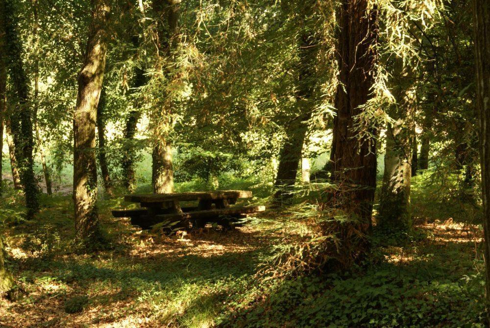 Гостевой дом Quinta Da Fontoura Alquerubim Экстерьер фото