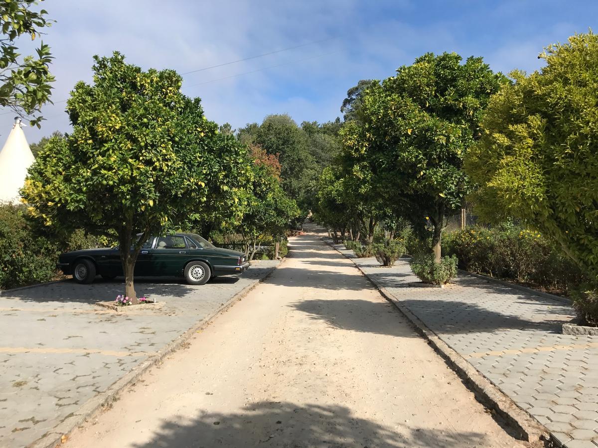 Гостевой дом Quinta Da Fontoura Alquerubim Экстерьер фото
